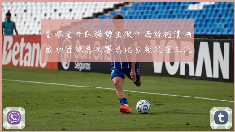 香港金牛队强势击败江西鲸裕清酒成功晋级总决赛总比分锁定在三比零