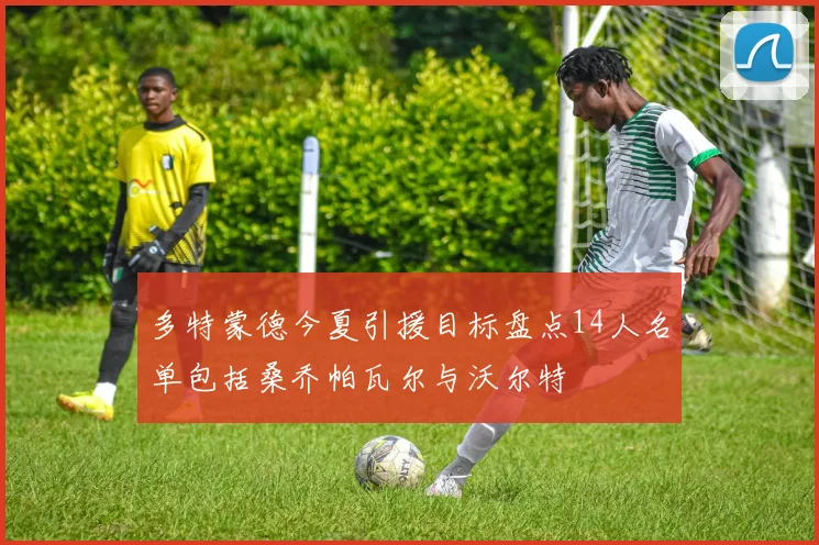 多特蒙德今夏引援目标盘点14人名单包括桑乔帕瓦尔与沃尔特