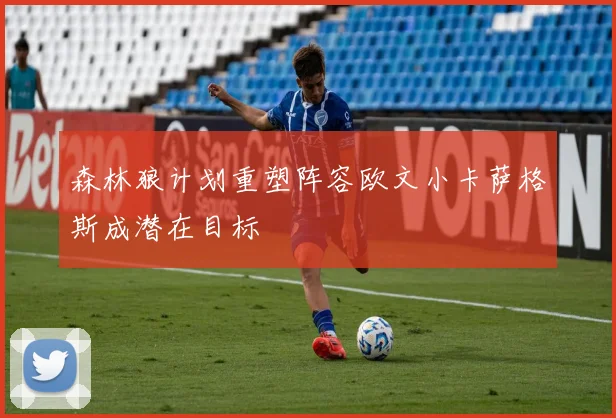 森林狼计划重塑阵容欧文小卡萨格斯成潜在目标